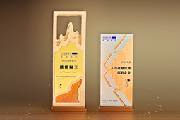 万象城AWC国际一举斩获“2024年度中国区最佳雇主”等多项大奖